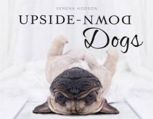 Upside Down Dogs