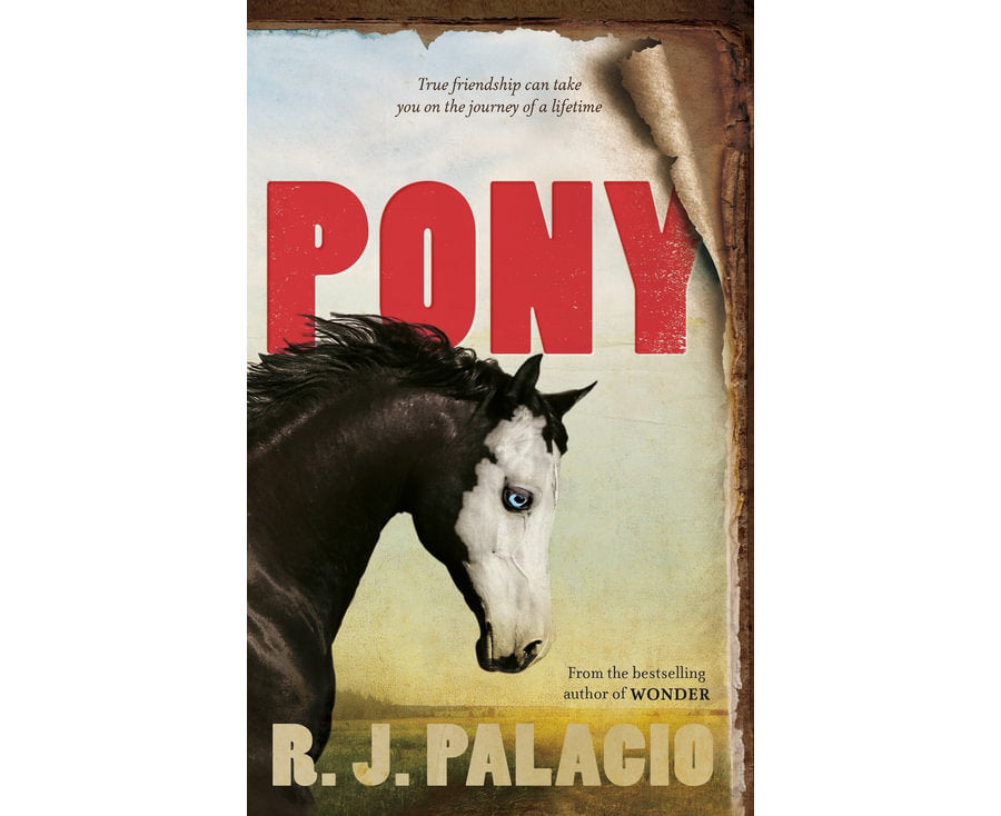 Pony