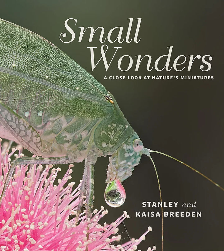 Small Wonders A Close Look at Nature's Miniatures