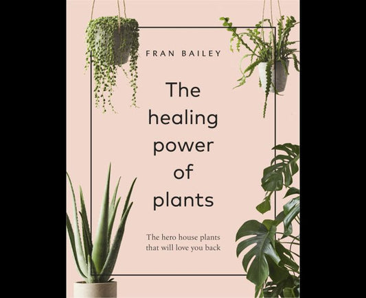 The Healing Power of Plants: The Hero House Plants that Love You Back