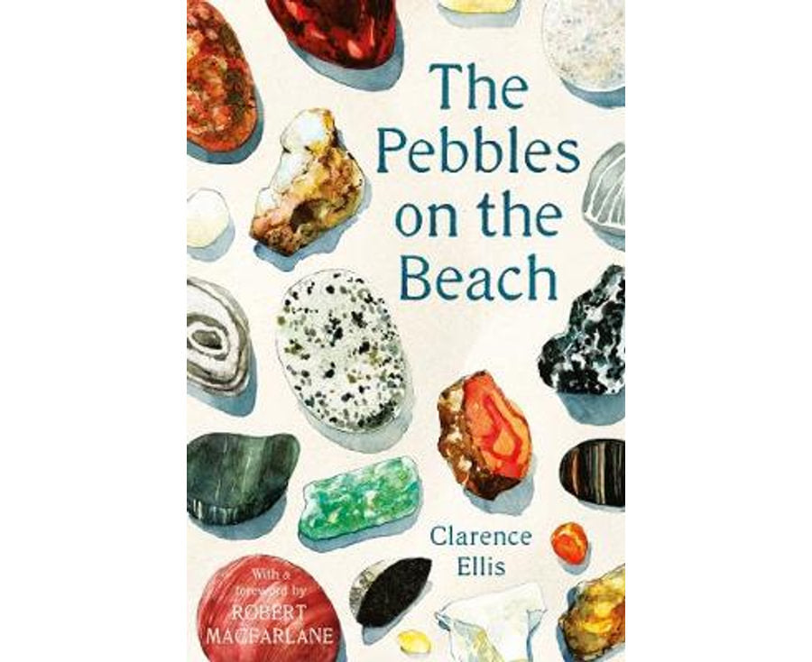 The Pebbles on the Beach: A Spotter's Guide