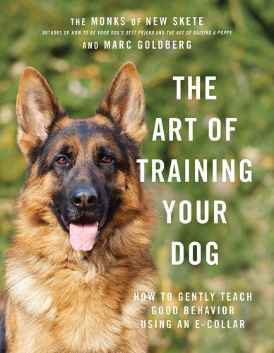The Art of Training Your Dog How to Gently Teach Good Behavior Using an E-Collar