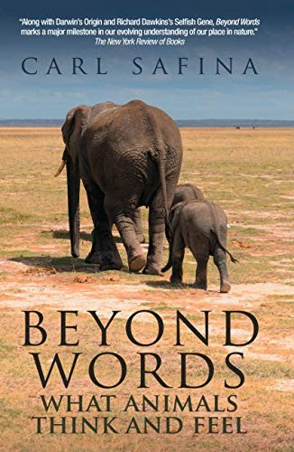 Beyond Words What Animals Think and Feel