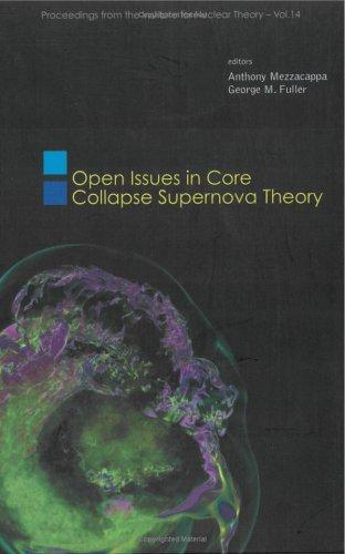 Open Issues in Core Collapse Supernova Theory