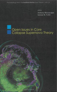 Open Issues in Core Collapse Supernova Theory