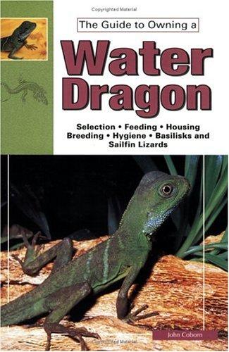 Water Dragons, Sailfin Lizards, and Basilisks
