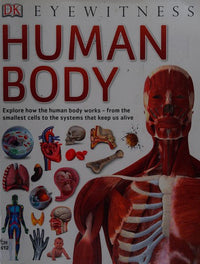 Human Body