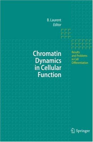 Chromatin Dynamics in Cellular Function (Results and Problems in Cell Differentiation, 41)