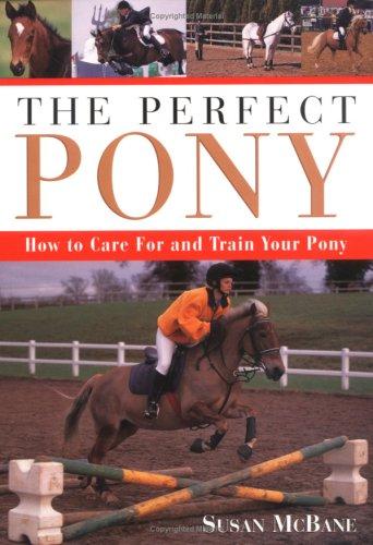 The perfect pony