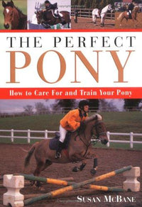 The perfect pony
