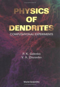 Physics of Dendrites Computational Experiments