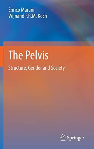 The Pelvis Structure, Gender and Society